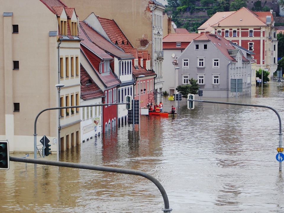 water restoration services