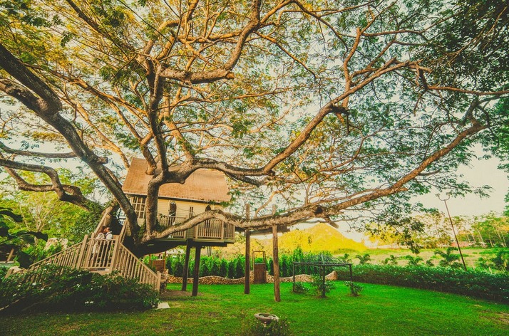tree house